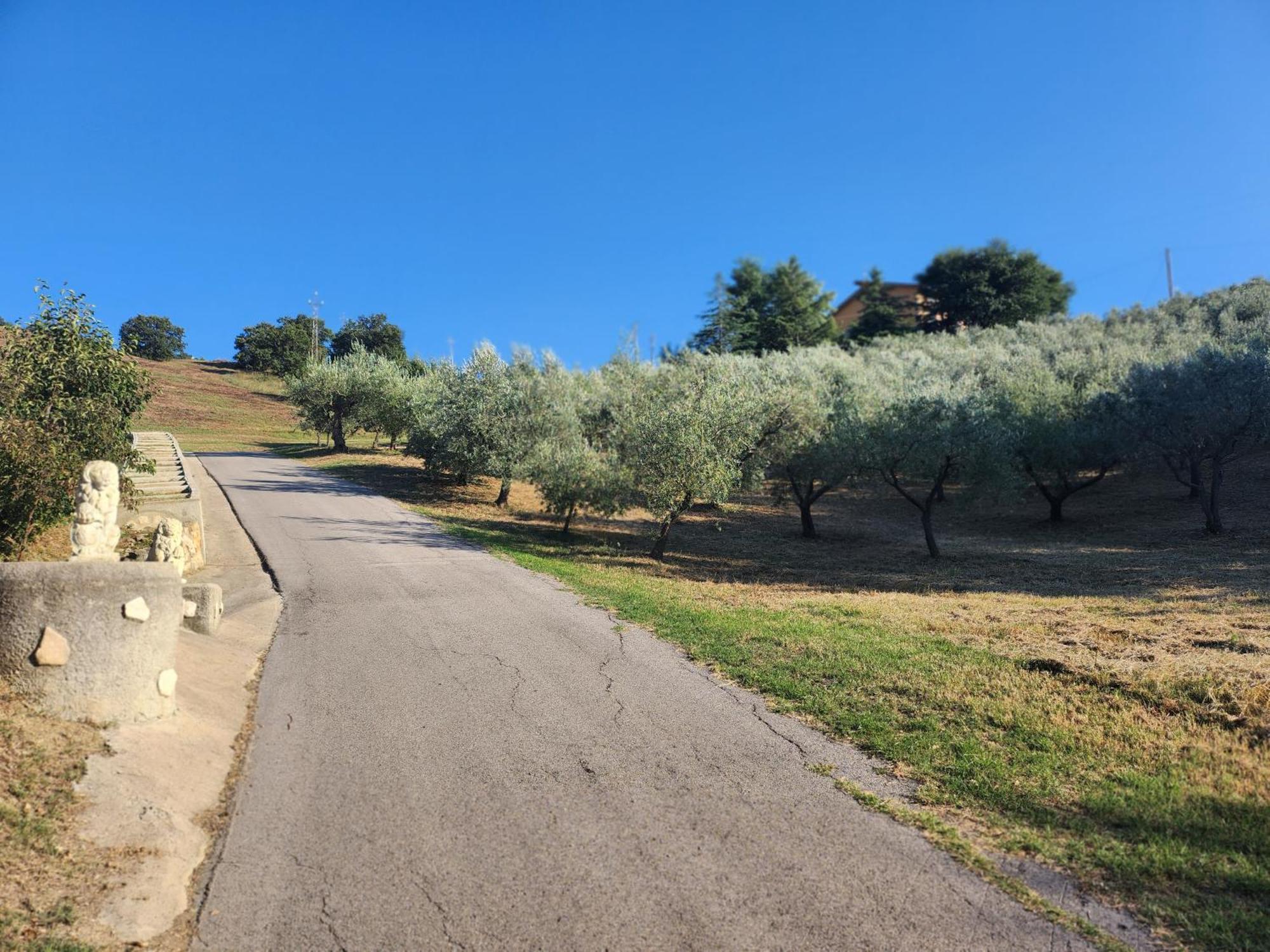 Casa Dei Nonni Villa Roccascalegna Dış mekan fotoğraf